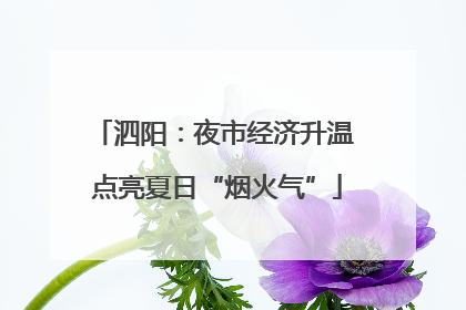 泗阳：夜市经济升温 点亮夏日“烟火气”