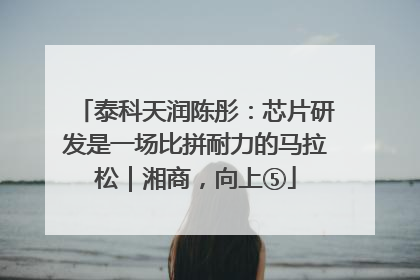 泰科天润陈彤：芯片研发是一场比拼耐力的马拉松｜湘商，向上⑤