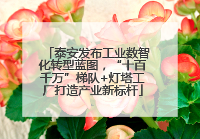 泰安发布工业数智化转型蓝图，“十百千万”梯队+灯塔工厂打造产业新标杆