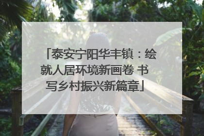 泰安宁阳华丰镇：绘就人居环境新画卷 书写乡村振兴新篇章