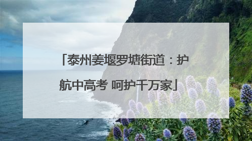 泰州姜堰罗塘街道：护航中高考 呵护千万家