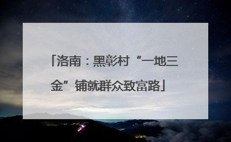 洛南：黑彰村“一地三金”铺就群众致富路