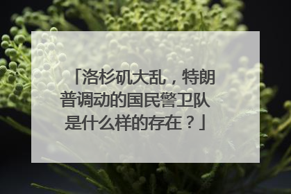 洛杉矶大乱，特朗普调动的国民警卫队是什么样的存在？