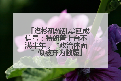 洛杉矶骚乱蔓延成信号：特朗普上台不满半年，“政治体面”似被弃为敝履