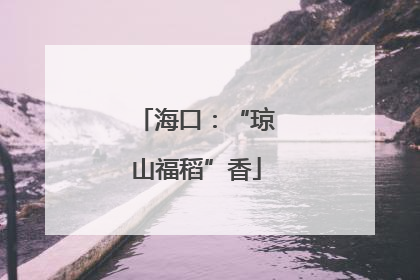 海口：“琼山福稻”香