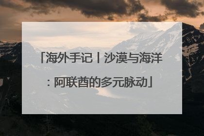 海外手记丨沙漠与海洋：阿联酋的多元脉动