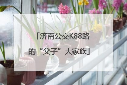 济南公交K88路的“父子”大家族