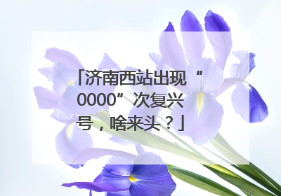 济南西站出现“0000”次复兴号，啥来头？