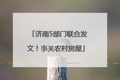 济南5部门联合发文！事关农村房屋