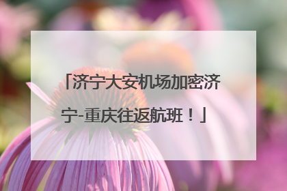 济宁大安机场加密济宁-重庆往返航班！