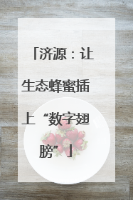 济源：让生态蜂蜜插上“数字翅膀”
