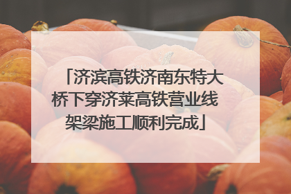 济滨高铁济南东特大桥下穿济莱高铁营业线架梁施工顺利完成