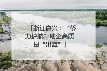 浙江嘉兴：“侨力护航”助企高质量“出海”