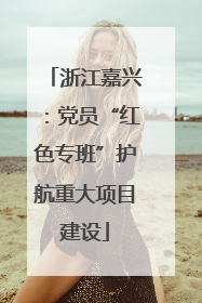 浙江嘉兴：党员“红色专班”护航重大项目建设
