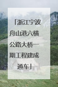 浙江宁波舟山港六横公路大桥一期工程建成通车