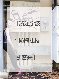 浙江宁波：杨梅挂枝引客来