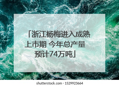 浙江杨梅进入成熟上市期 今年总产量预计74万吨