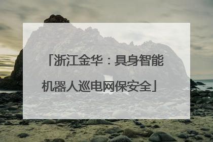 浙江金华：具身智能机器人巡电网保安全