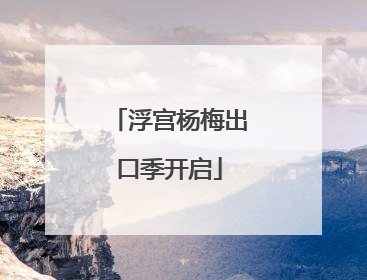 浮宫杨梅出口季开启