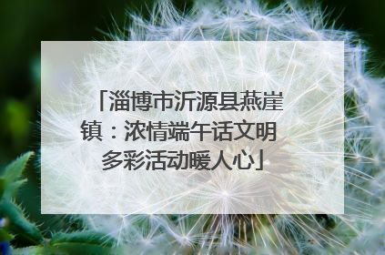 淄博市沂源县燕崖镇：浓情端午话文明 多彩活动暖人心