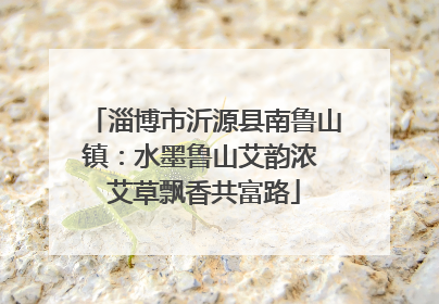 淄博市沂源县南鲁山镇：水墨鲁山艾韵浓 艾草飘香共富路
