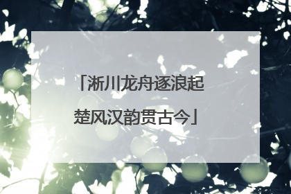 淅川龙舟逐浪起 楚风汉韵贯古今