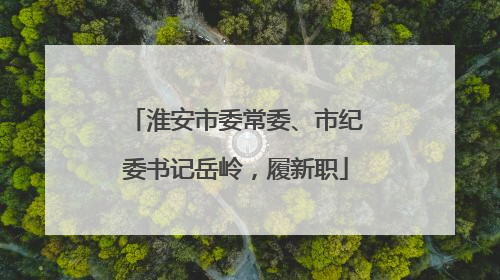 淮安市委常委、市纪委书记岳岭，履新职