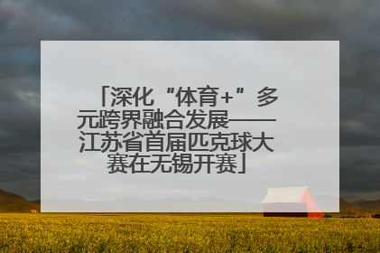 深化“体育+”多元跨界融合发展——江苏省首届匹克球大赛在无锡开赛
