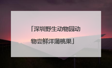 深圳野生动物园动物尝鲜洋蒲桃果
