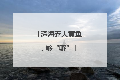 深海养大黄鱼，够“野”