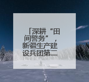 深耕“田间警务”，新疆生产建设兵团第二师公安以警护农绘就乡村振兴平安画卷