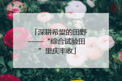 深耕希望的田野——“综合试验田”里庆丰收