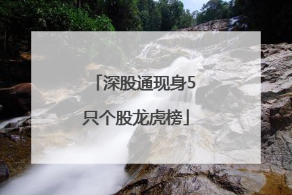 深股通现身5只个股龙虎榜