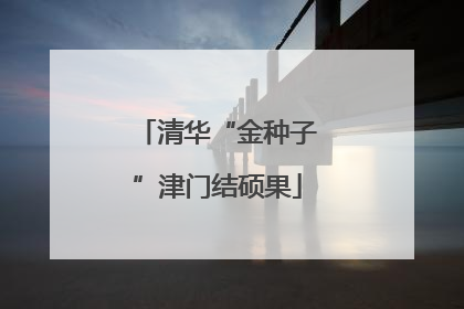 清华“金种子”津门结硕果
