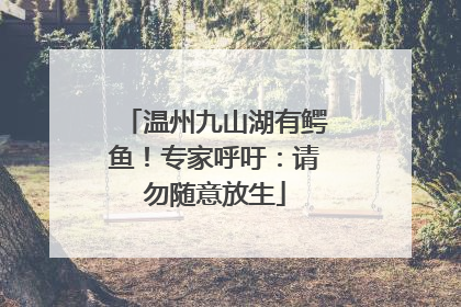 温州九山湖有鳄鱼！专家呼吁：请勿随意放生