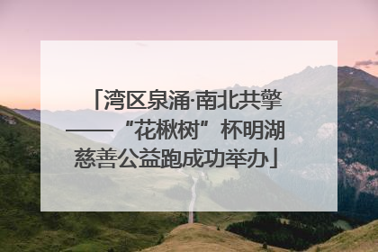 湾区泉涌·南北共擎——“花楸树”杯明湖慈善公益跑成功举办