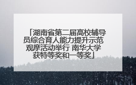 湖南省第二届高校辅导员综合育人能力提升示范观摩活动举行 南华大学获特等奖和一等奖