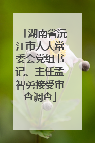 湖南省沅江市人大常委会党组书记、主任孟智勇接受审查调查