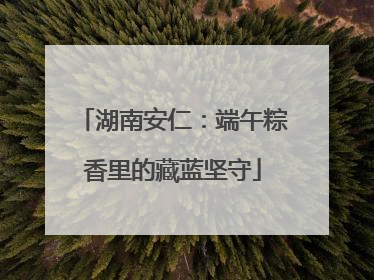 湖南安仁：端午粽香里的藏蓝坚守