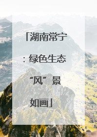 湖南常宁：绿色生态 “风”景如画