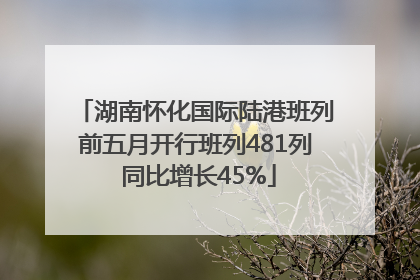 湖南怀化国际陆港班列前五月开行班列481列 同比增长45%