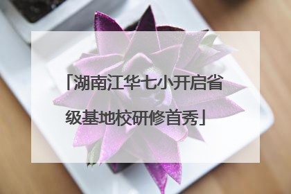 湖南江华七小开启省级基地校研修首秀