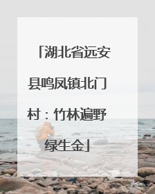 湖北省远安县鸣凤镇北门村：竹林遍野绿生金