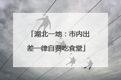 湖北一地：市内出差一律自费吃食堂