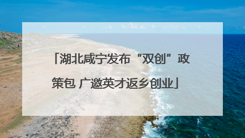 湖北咸宁发布“双创”政策包 广邀英才返乡创业
