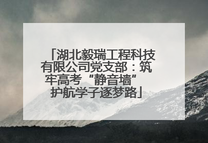 湖北毅瑞工程科技有限公司党支部：筑牢高考“静音墙” 护航学子逐梦路