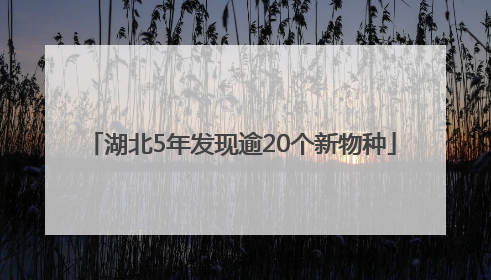 湖北5年发现逾20个新物种