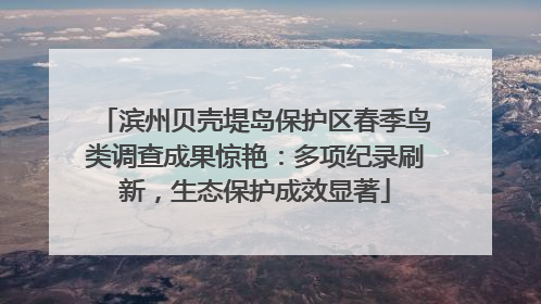 滨州贝壳堤岛保护区春季鸟类调查成果惊艳：多项纪录刷新，生态保护成效显著
