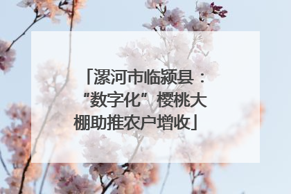 漯河市临颍县：“数字化”樱桃大棚助推农户增收