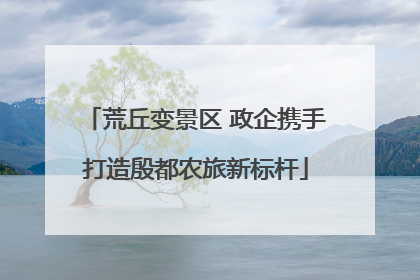 荒丘变景区 政企携手打造殷都农旅新标杆
